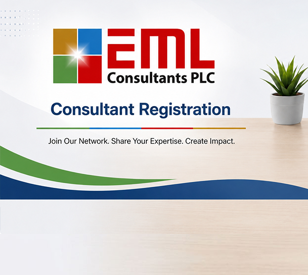 Consultant Management System